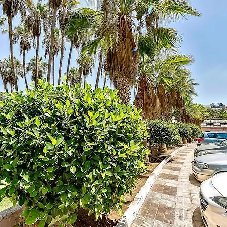 Vina Del Mar Ocean * Плая-де-лас-Америкас