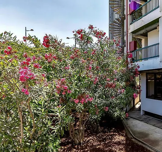 Vina Del Mar Ocean Apartment Playa de las Américas