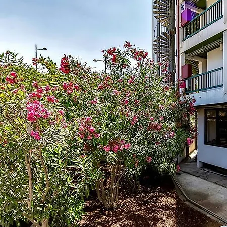 Vina Del Mar Ocean Apartment Playa de las Américas